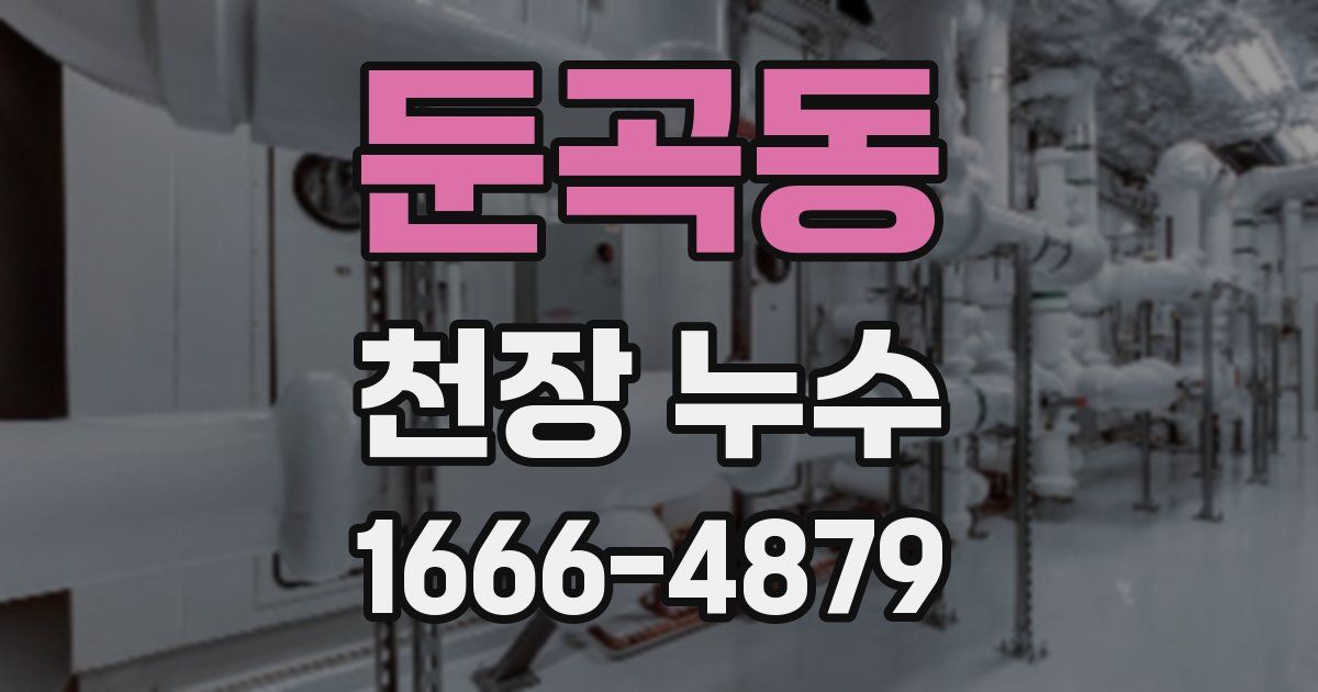 둔곡동 천장 누수