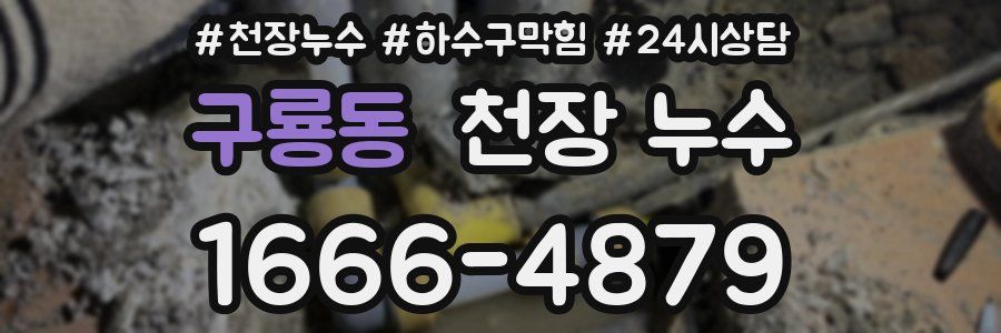 구룡동 천장 누수