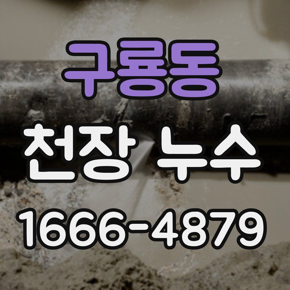 구룡동 천장 누수