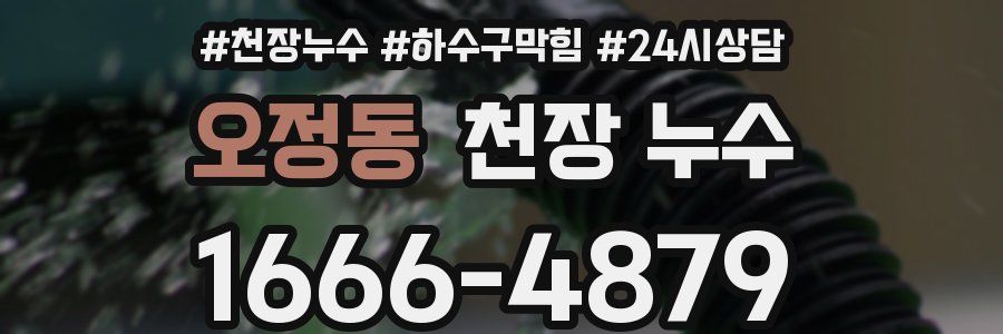 오정동 천장 누수