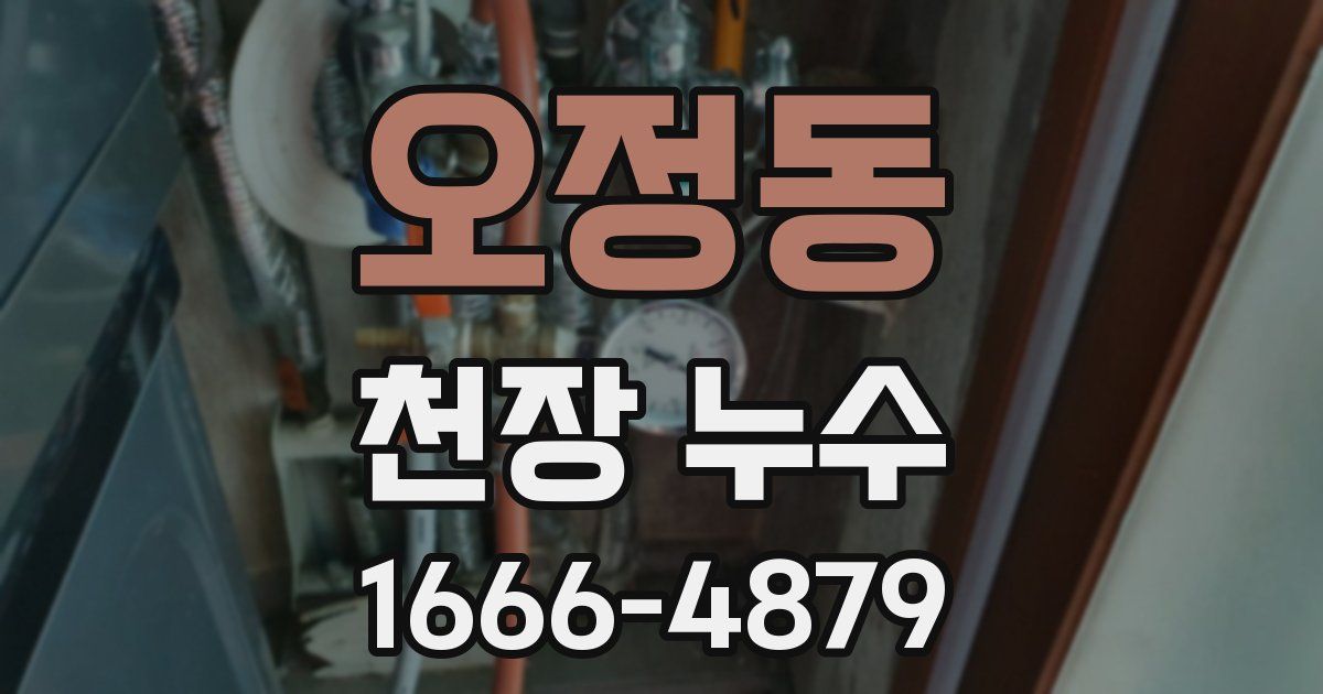 오정동 천장 누수