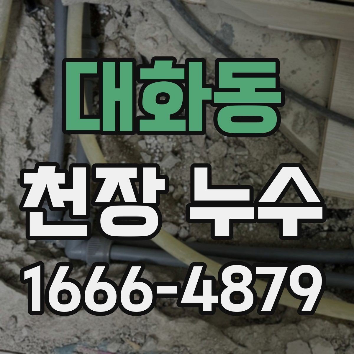 대화동 천장 누수 얼룩이 동그랗게 번지면 확인해야 할 원인