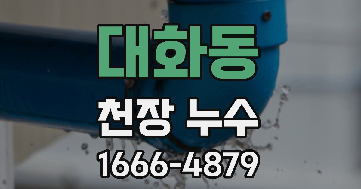 대화동 천장 누수
