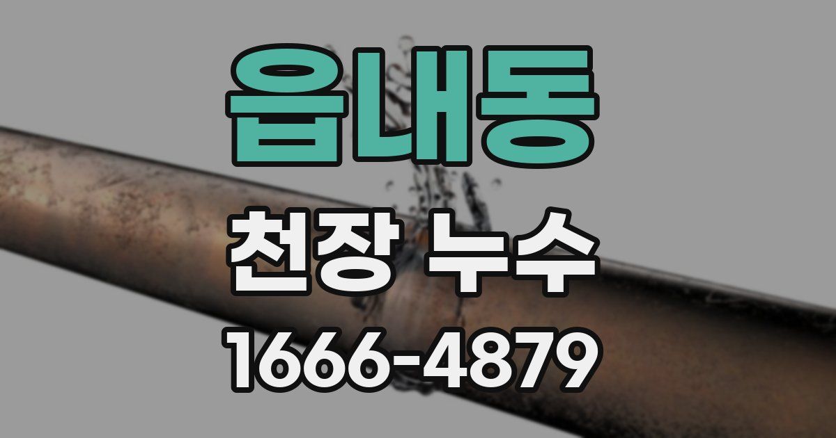 읍내동 천장 누수