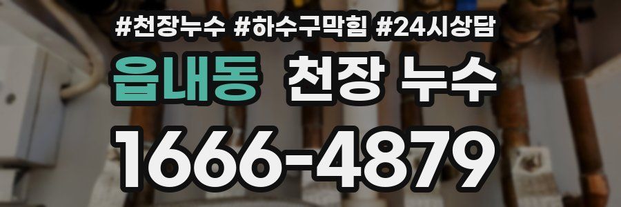 읍내동 천장 누수