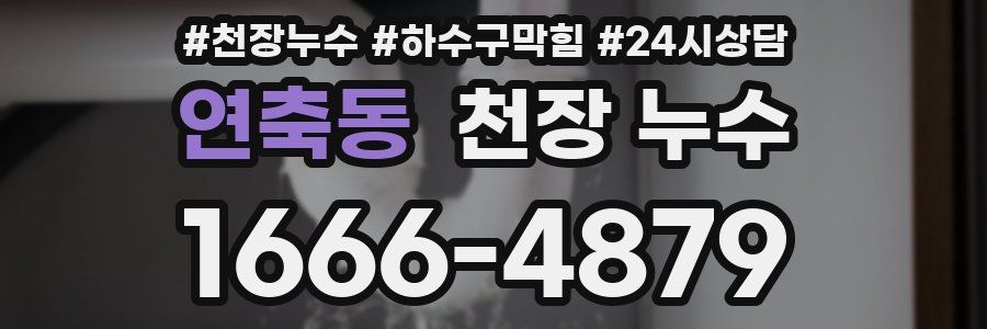 연축동 천장 누수