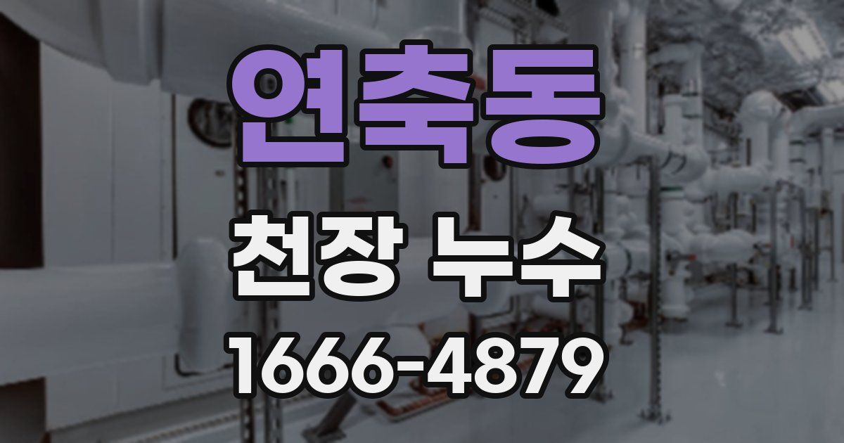 연축동 천장 누수