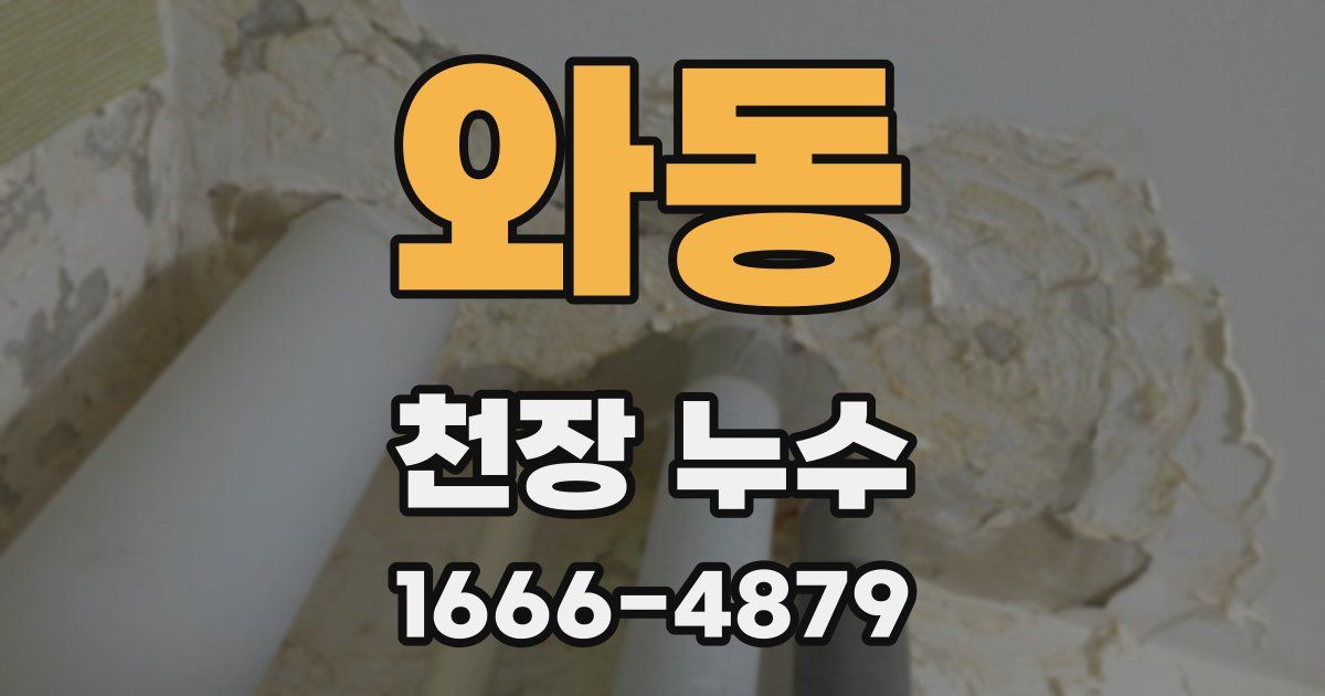 와동 천장 누수