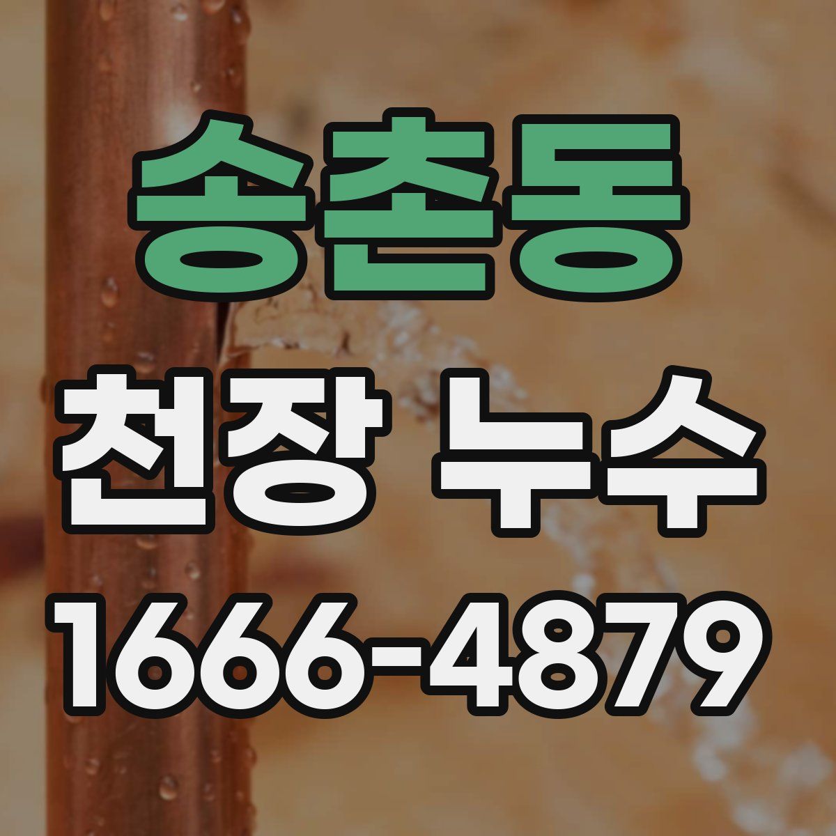 송촌동 천장 누수