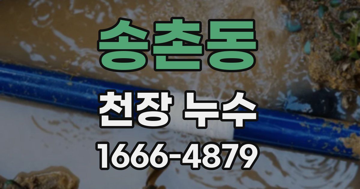 송촌동 천장 누수