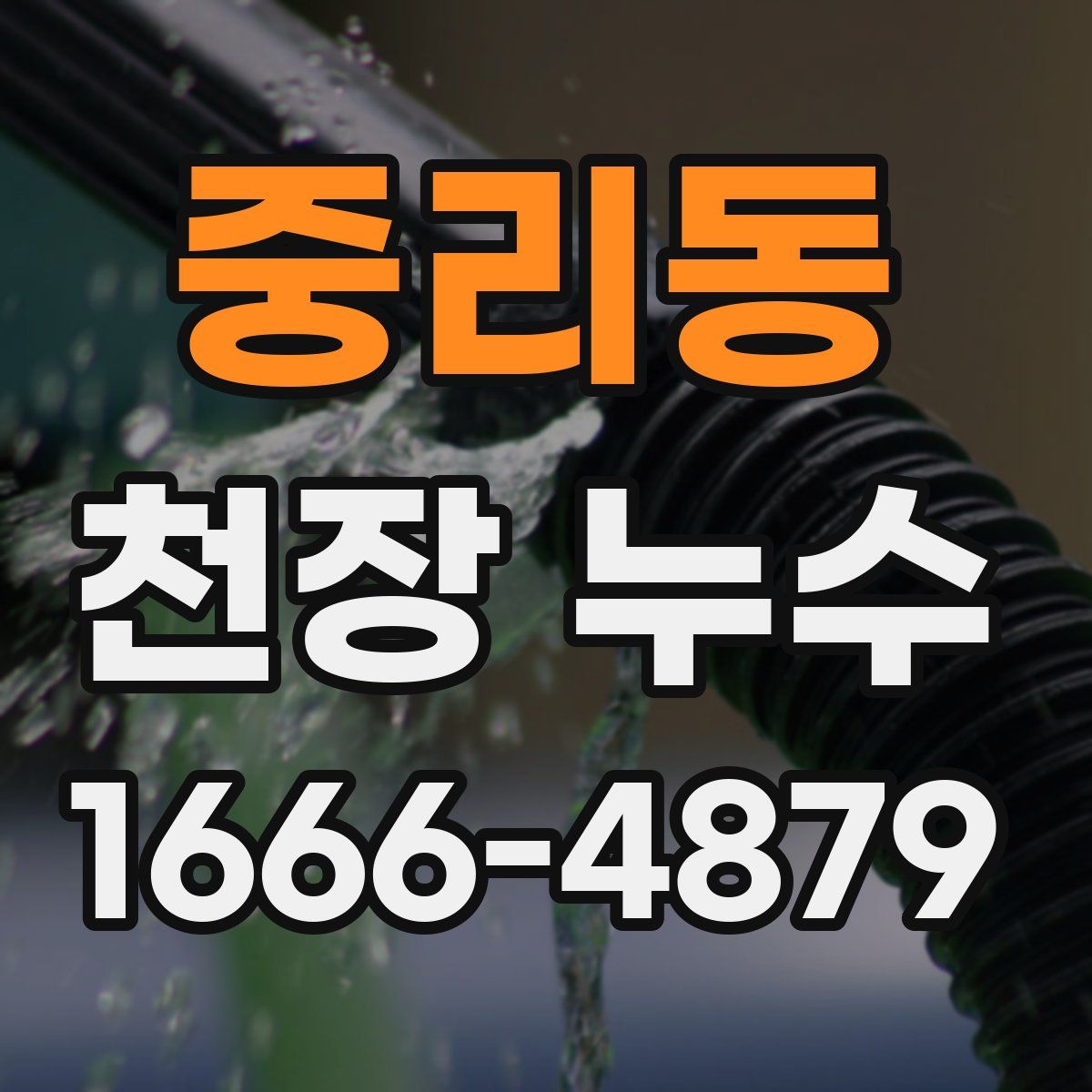 중리동 천장 누수