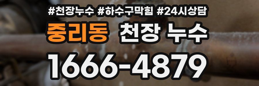 중리동 천장 누수