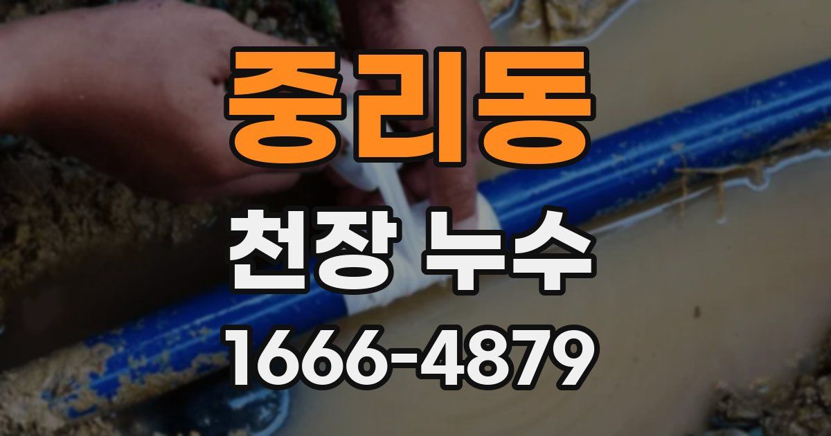 중리동 천장 누수