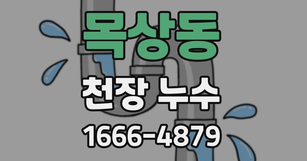 목상동 천장 누수