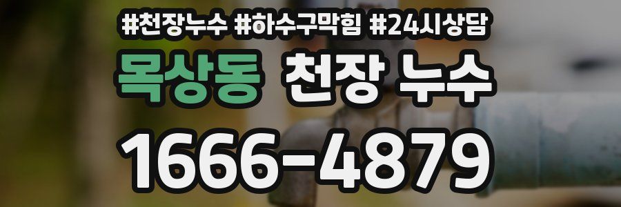 목상동 천장 누수