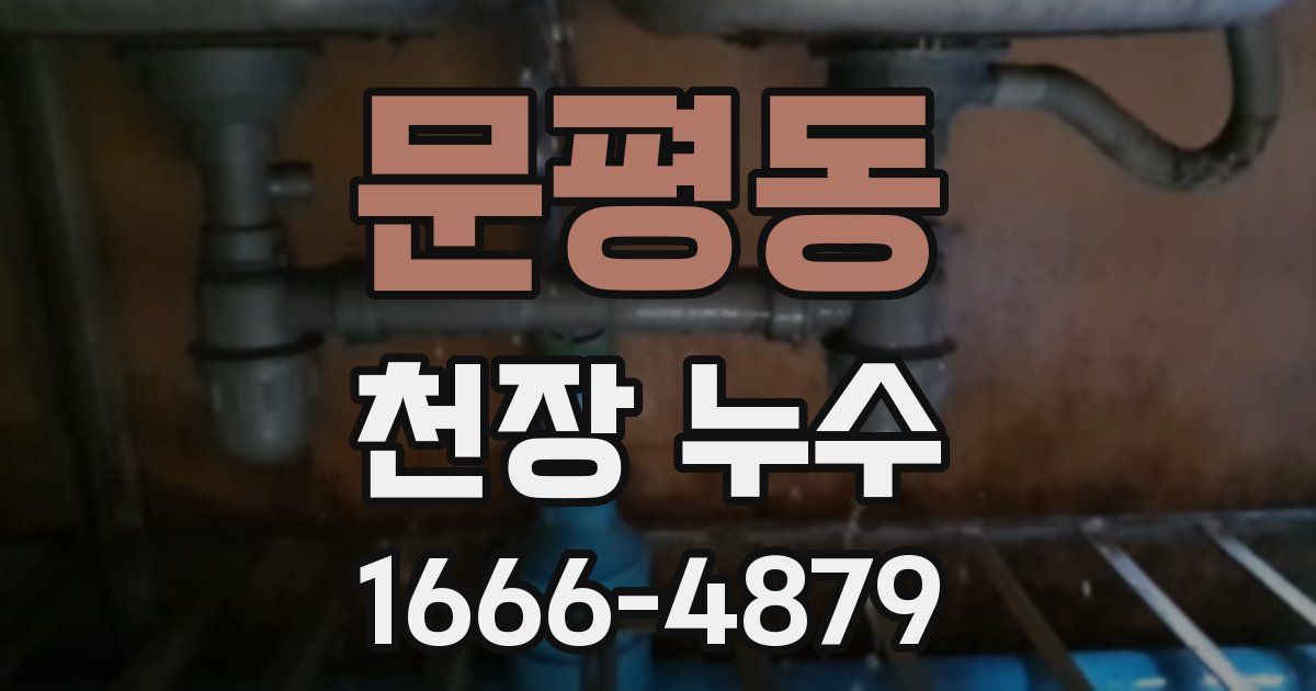 문평동 천장 누수