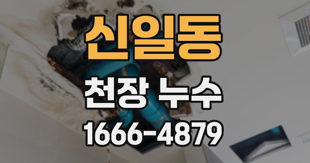 신일동 천장 누수