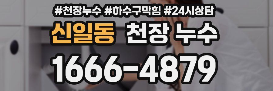 신일동 천장 누수