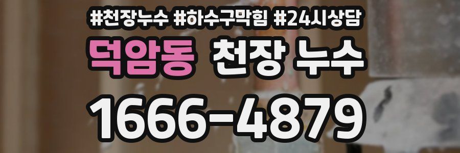 덕암동 천장 누수