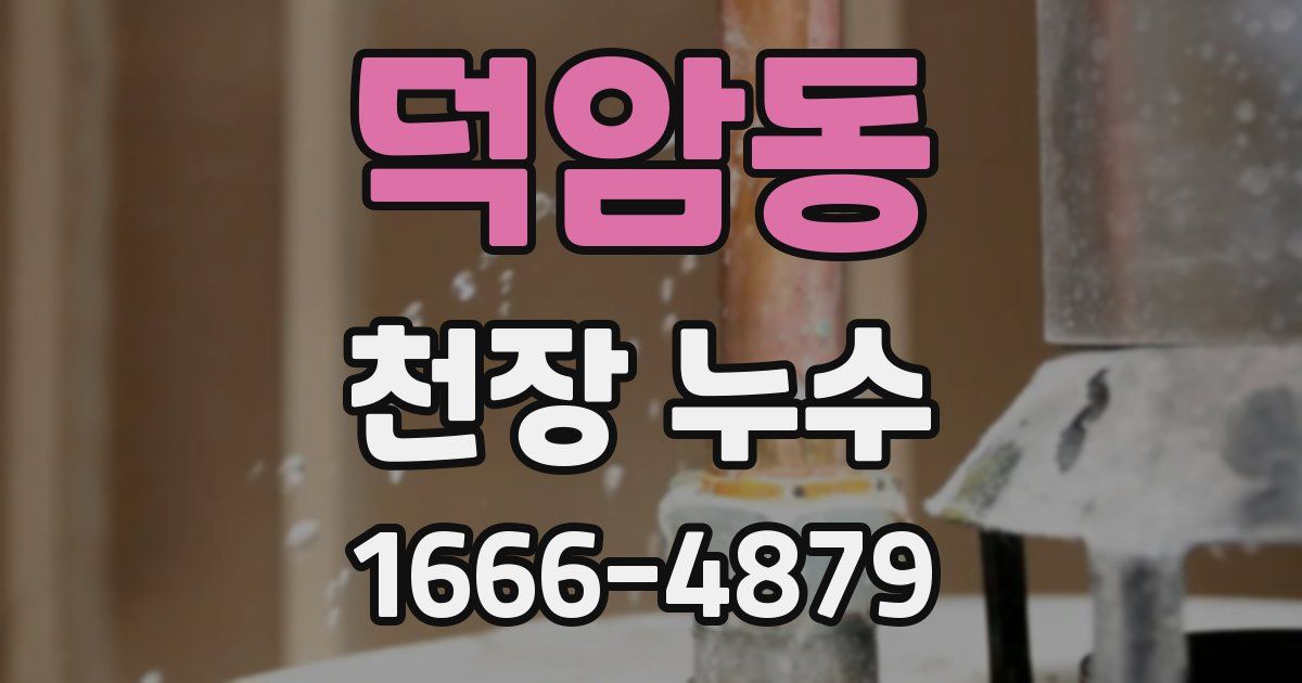 덕암동 천장 누수