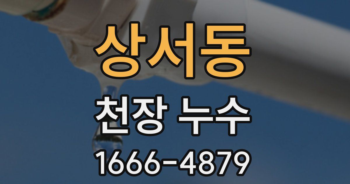 상서동 천장 누수