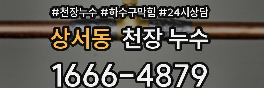 상서동 천장 누수