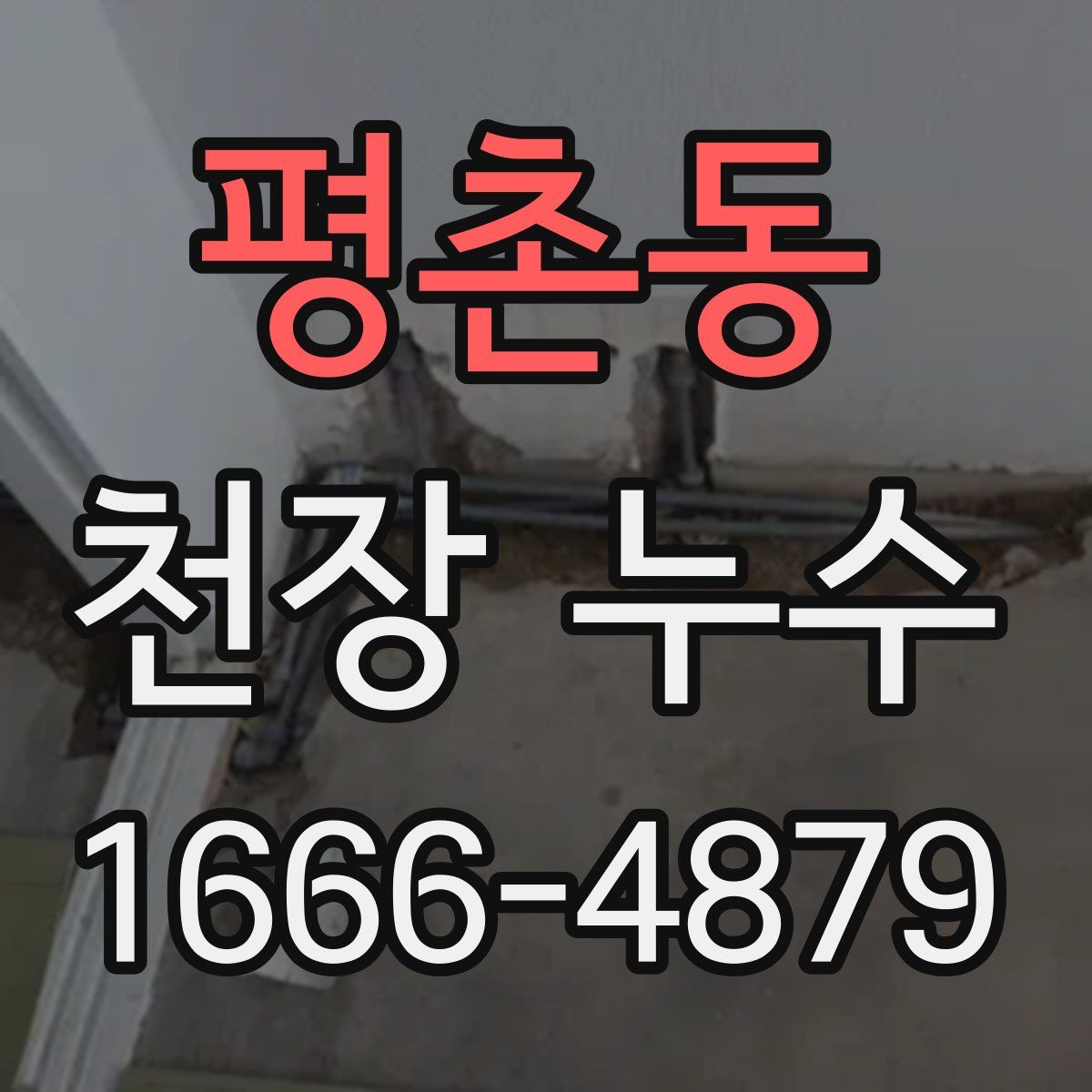 평촌동 천장 누수