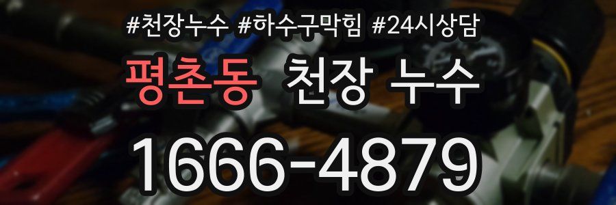 평촌동 천장 누수