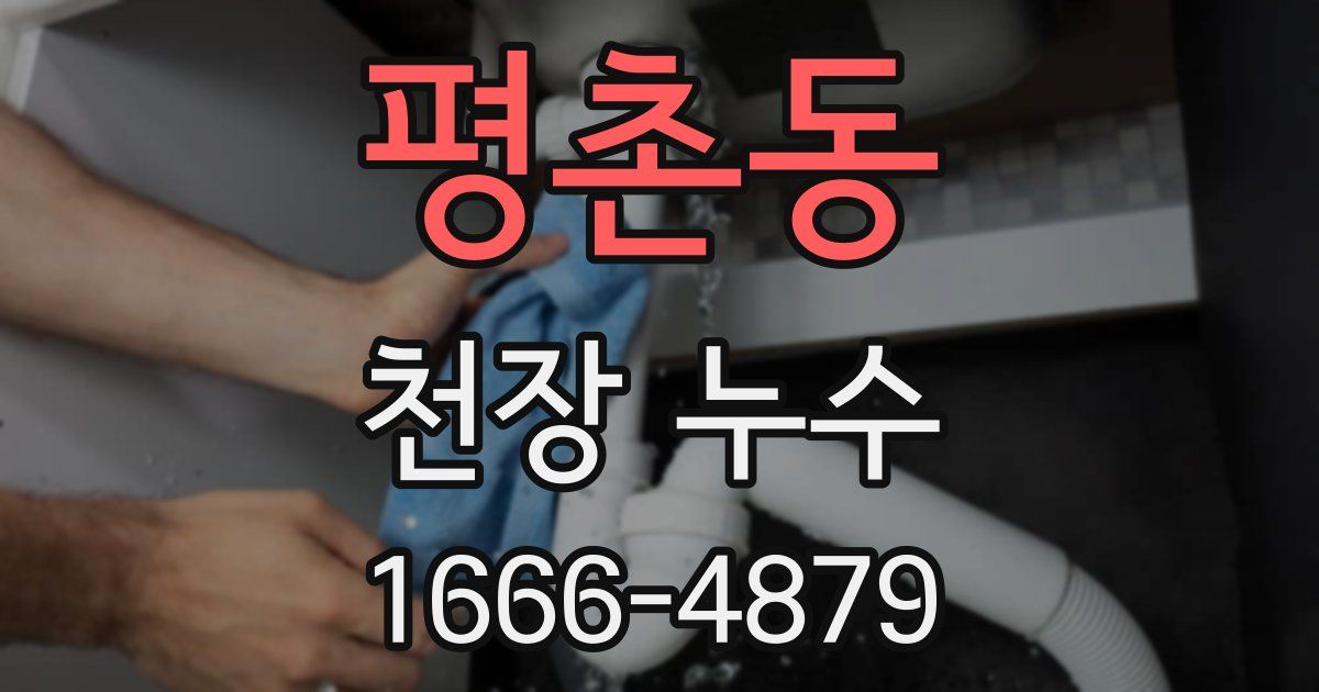 평촌동 천장 누수