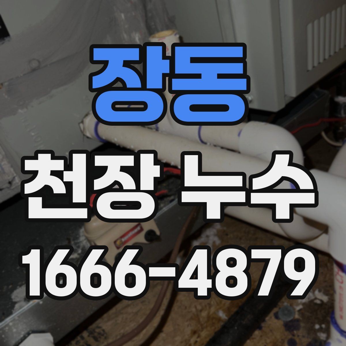 장동 천장 누수 천장 가까이에서 퀴퀴한 냄새가 올라올 때