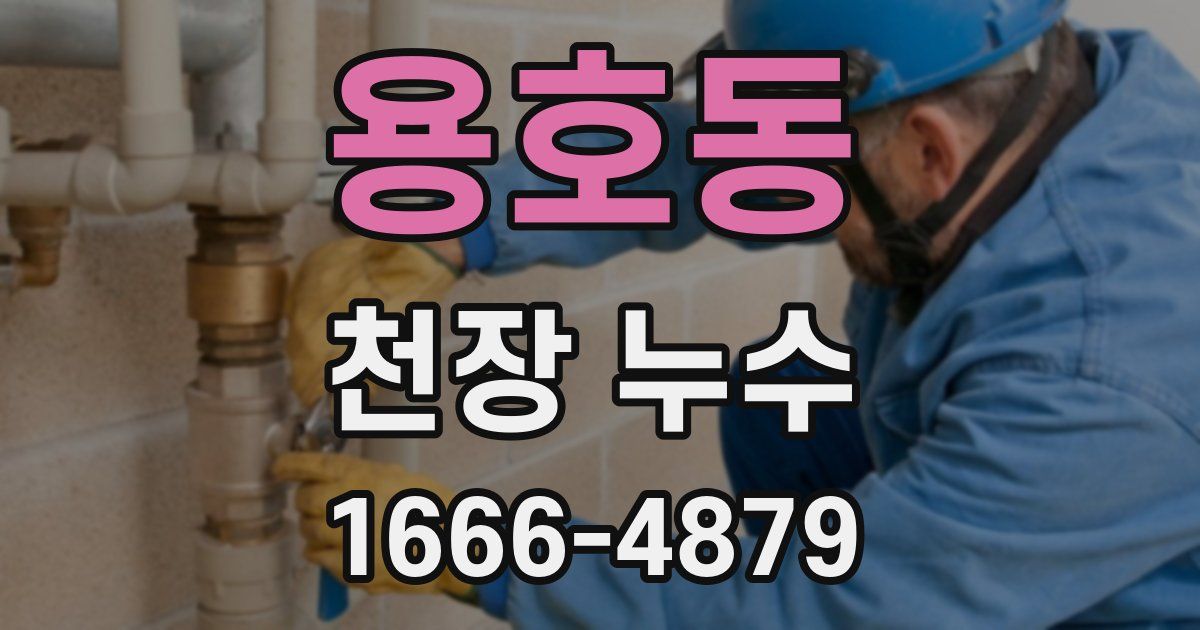 용호동 천장 누수