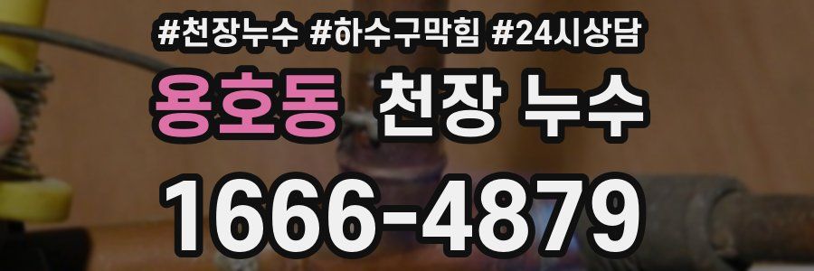 용호동 천장 누수