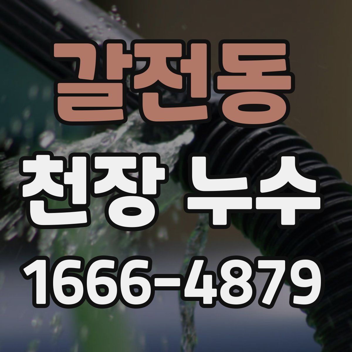 갈전동 천장 누수 욕실 줄눈 문제로 천장이 젖는 경우