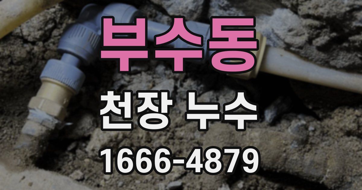 부수동 천장 누수