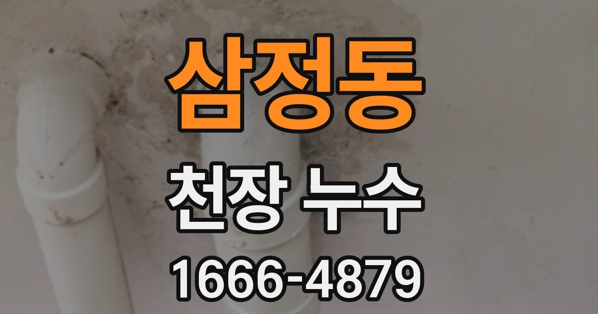 삼정동 천장 누수