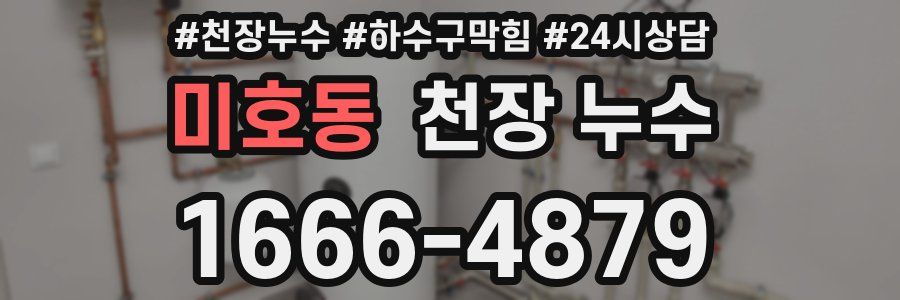 미호동 천장 누수