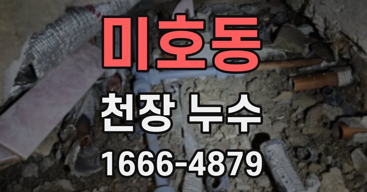 미호동 천장 누수