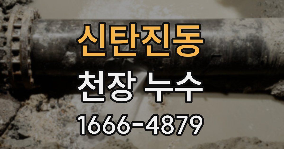 신탄진동 천장 누수