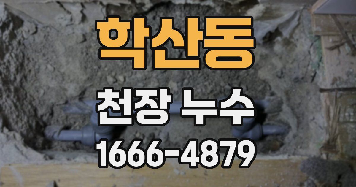 학산동 천장 누수