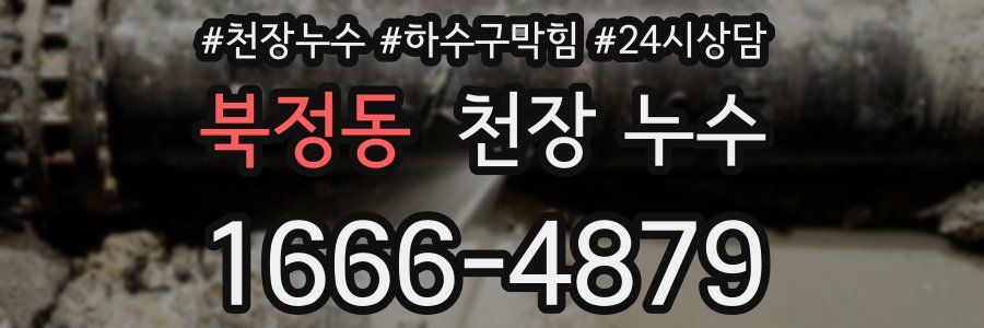 북정동 천장 누수