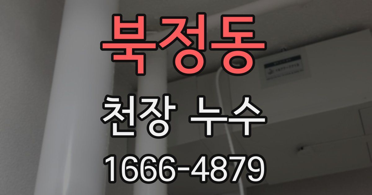 북정동 천장 누수