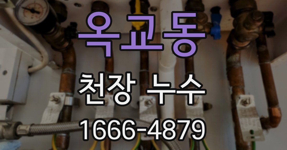 옥교동 천장 누수