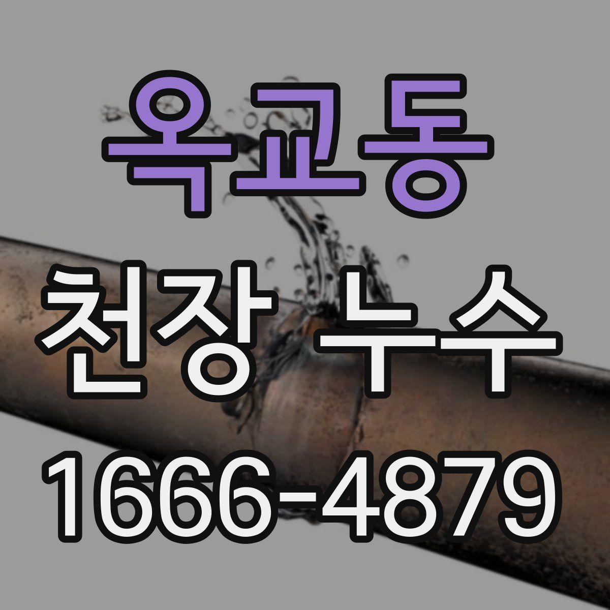 옥교동 천장 누수