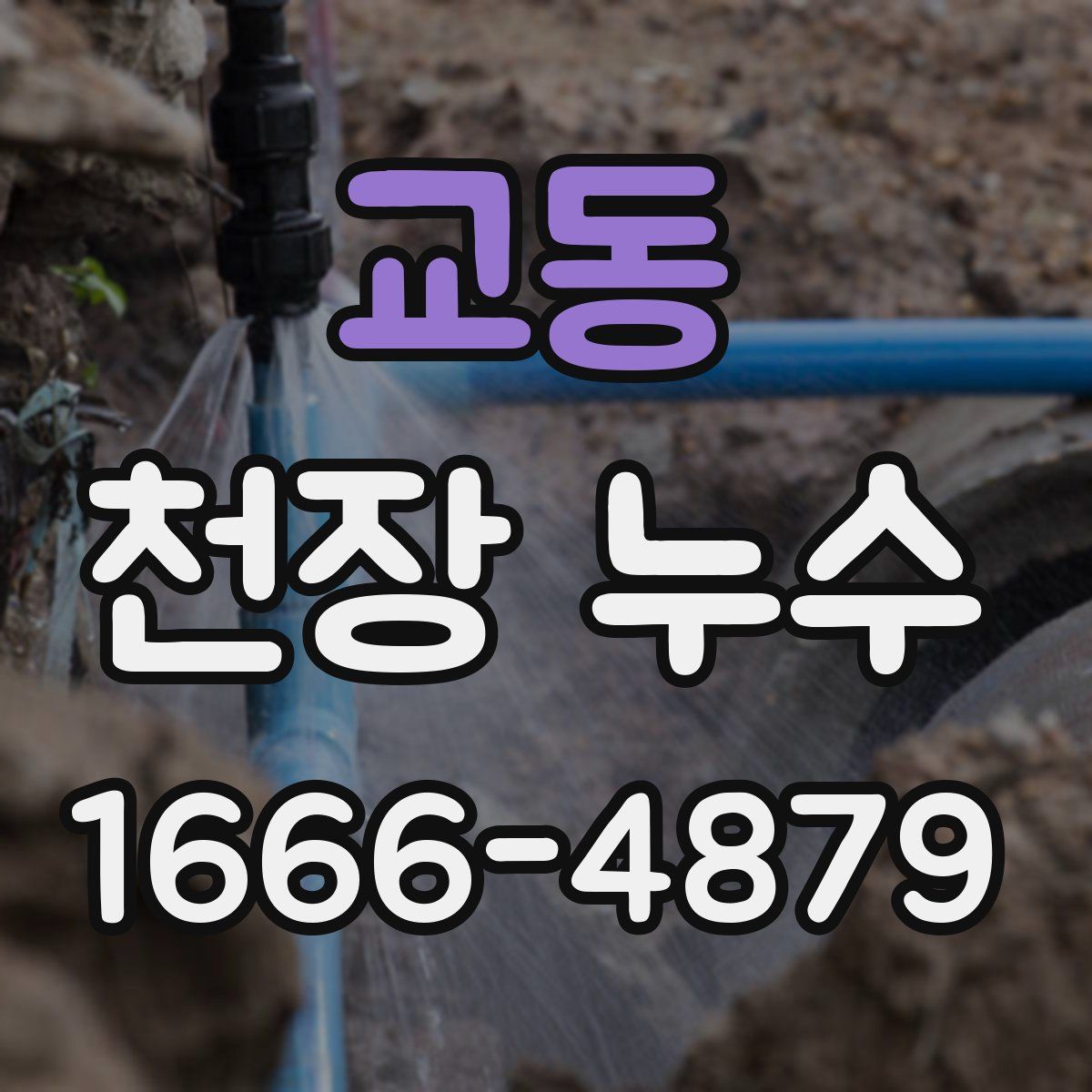 교동 천장 누수