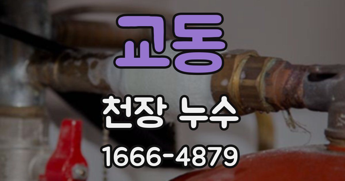 교동 천장 누수