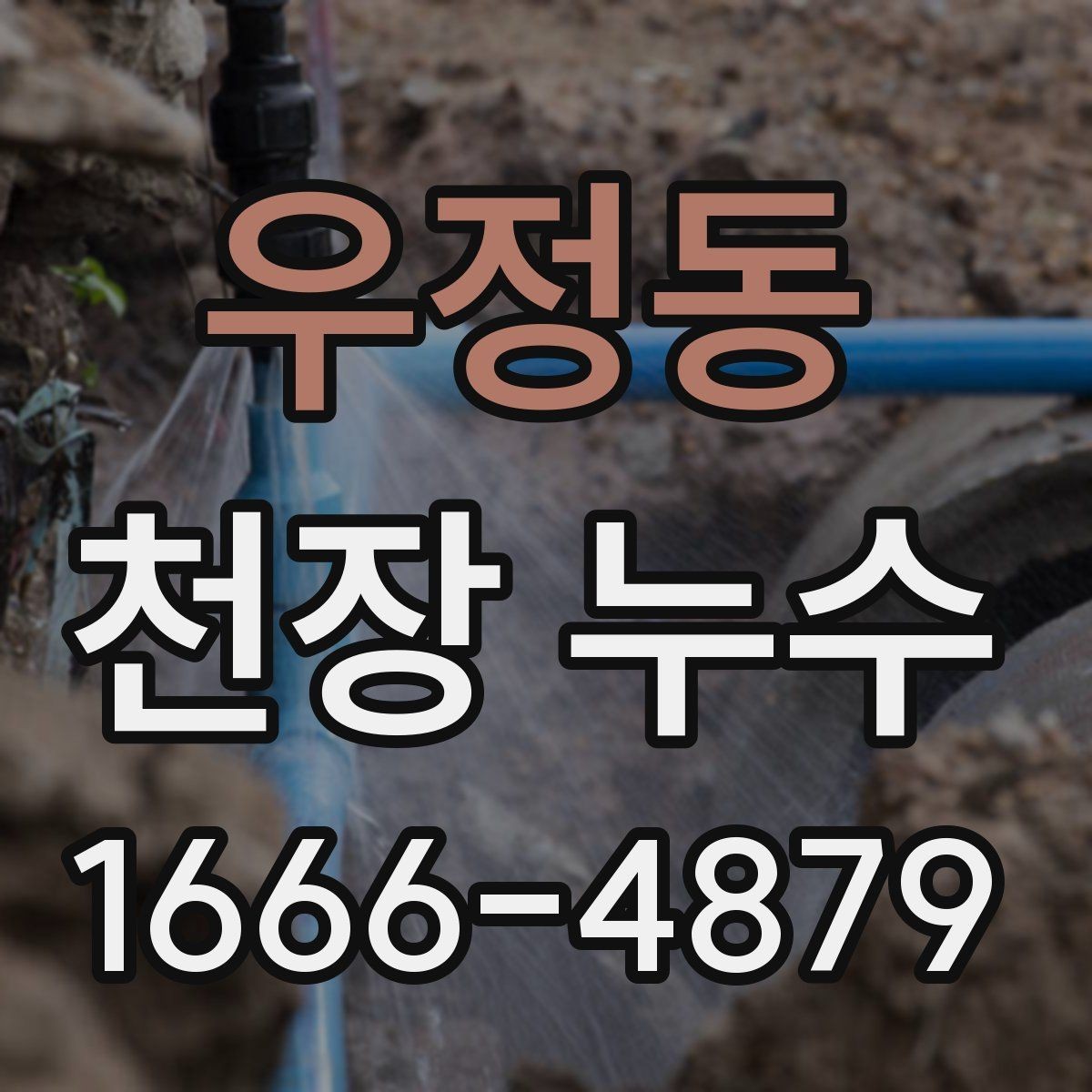 우정동 천장 누수 천장 석고가 가루처럼 떨어지면 위험합니다