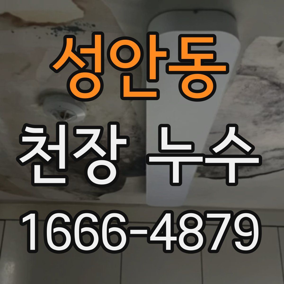 성안동 천장 누수