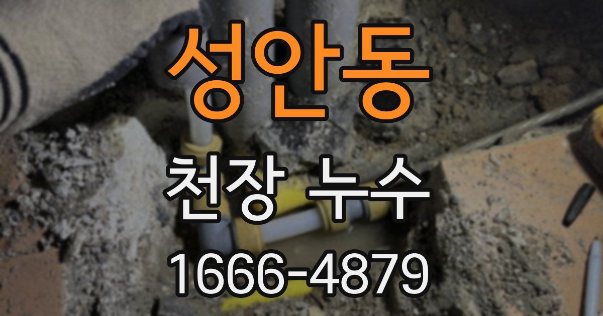 성안동 천장 누수