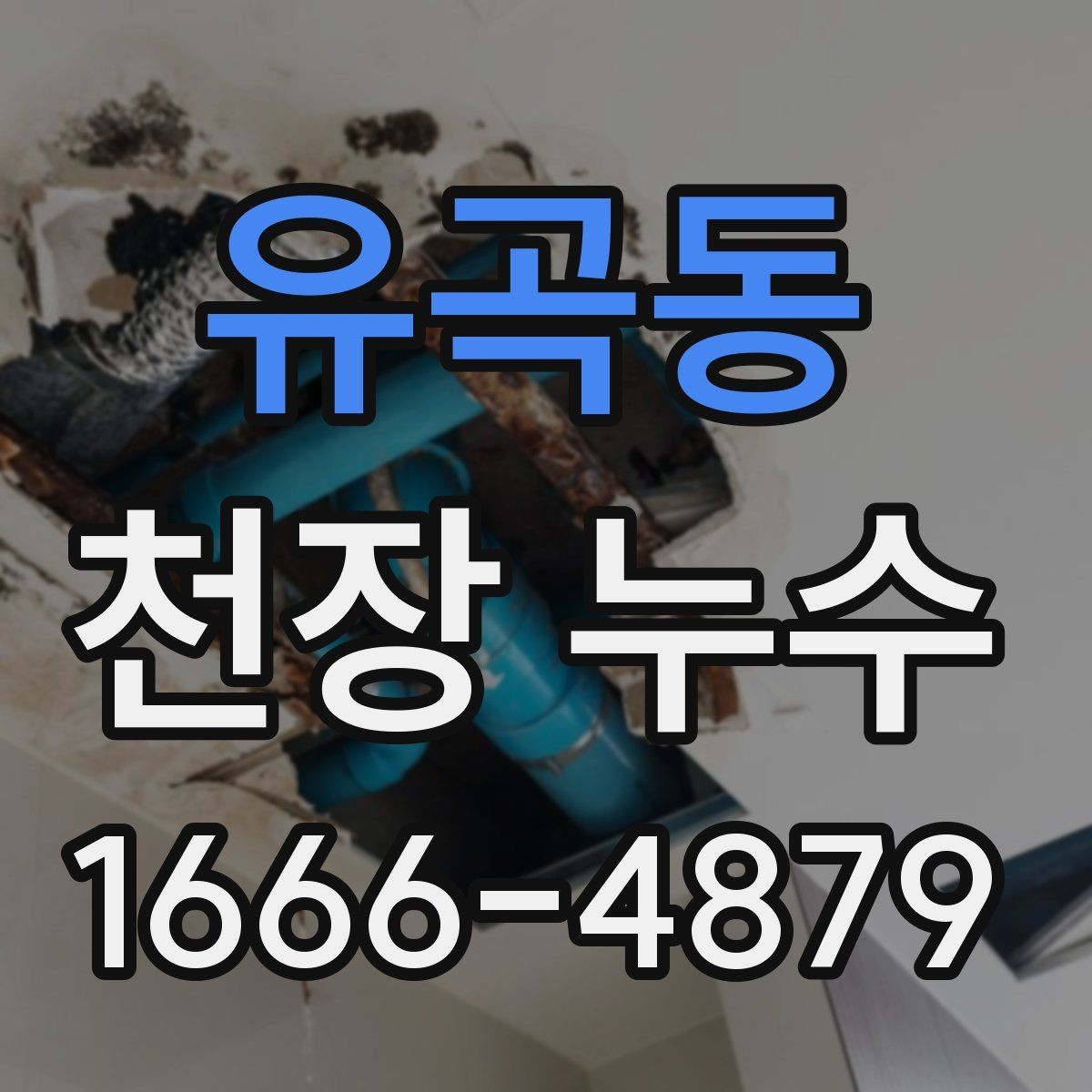 유곡동 천장 누수 인테리어 손상 최소화하기