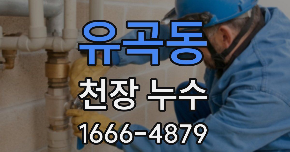 유곡동 천장 누수